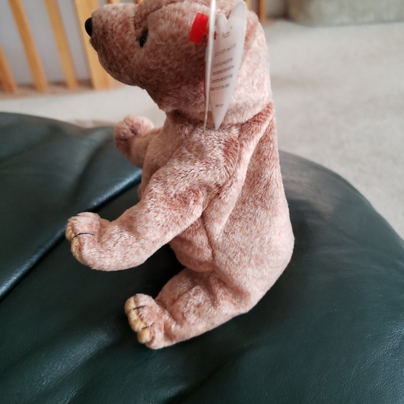 Ty Beanie Baby Pecan the Bear - Picture 6 of 8